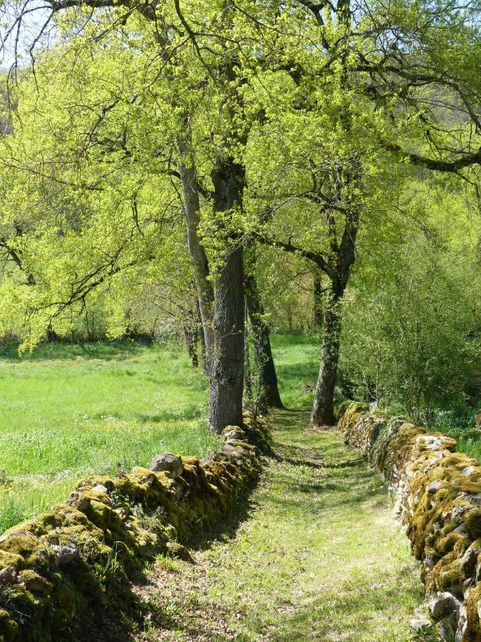 Frontenac  Le Hameau Du Quercy B&B 외부 사진